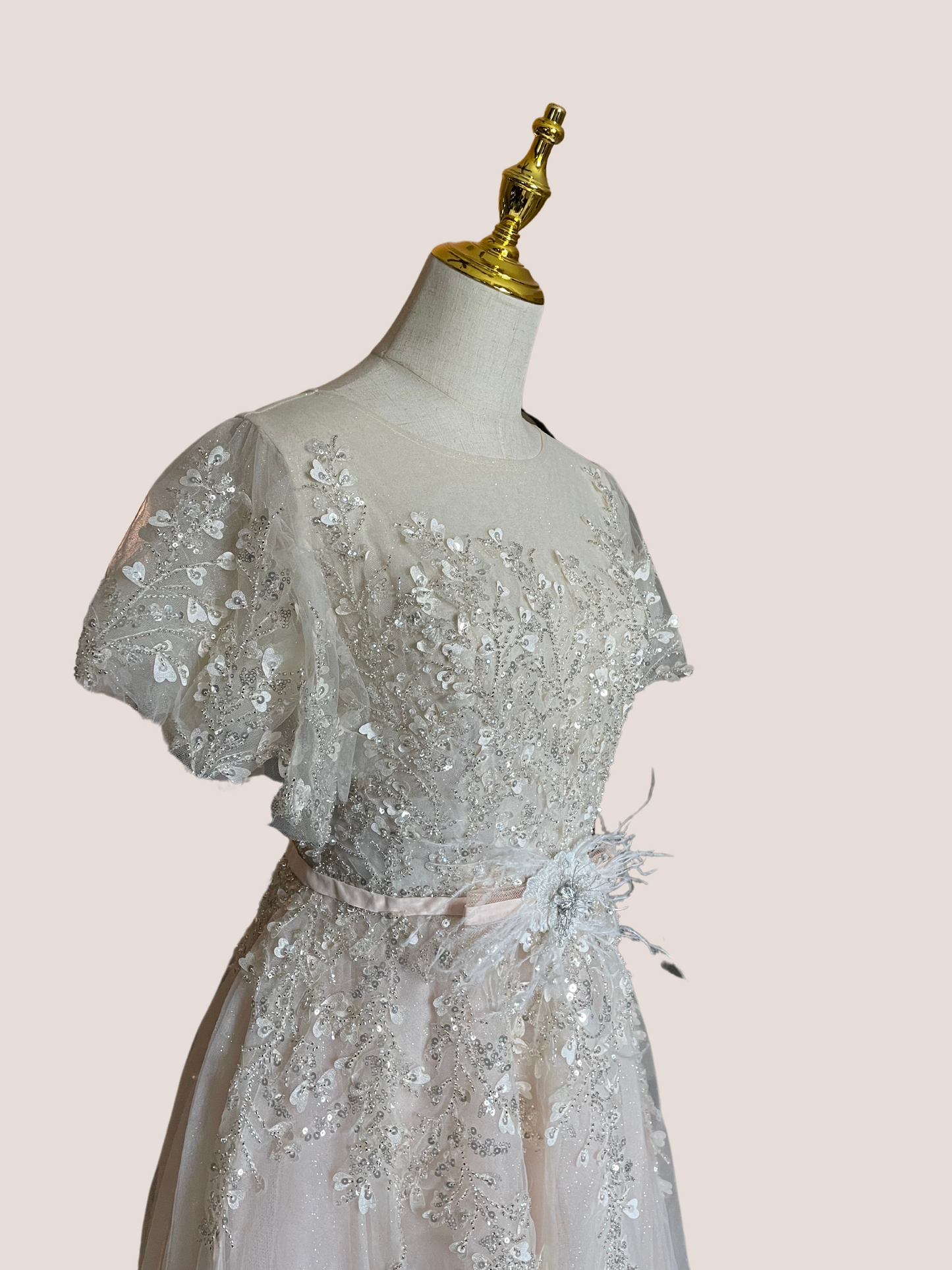 Embellished Flutter Sleeve Bow Waist A Line Dress