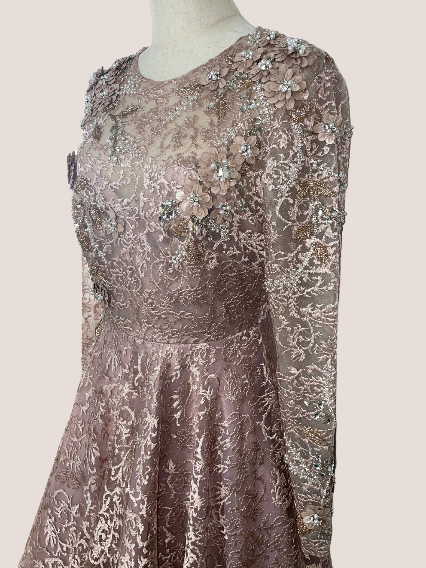 Embellished Illusion Long Sleeve A Line Gown