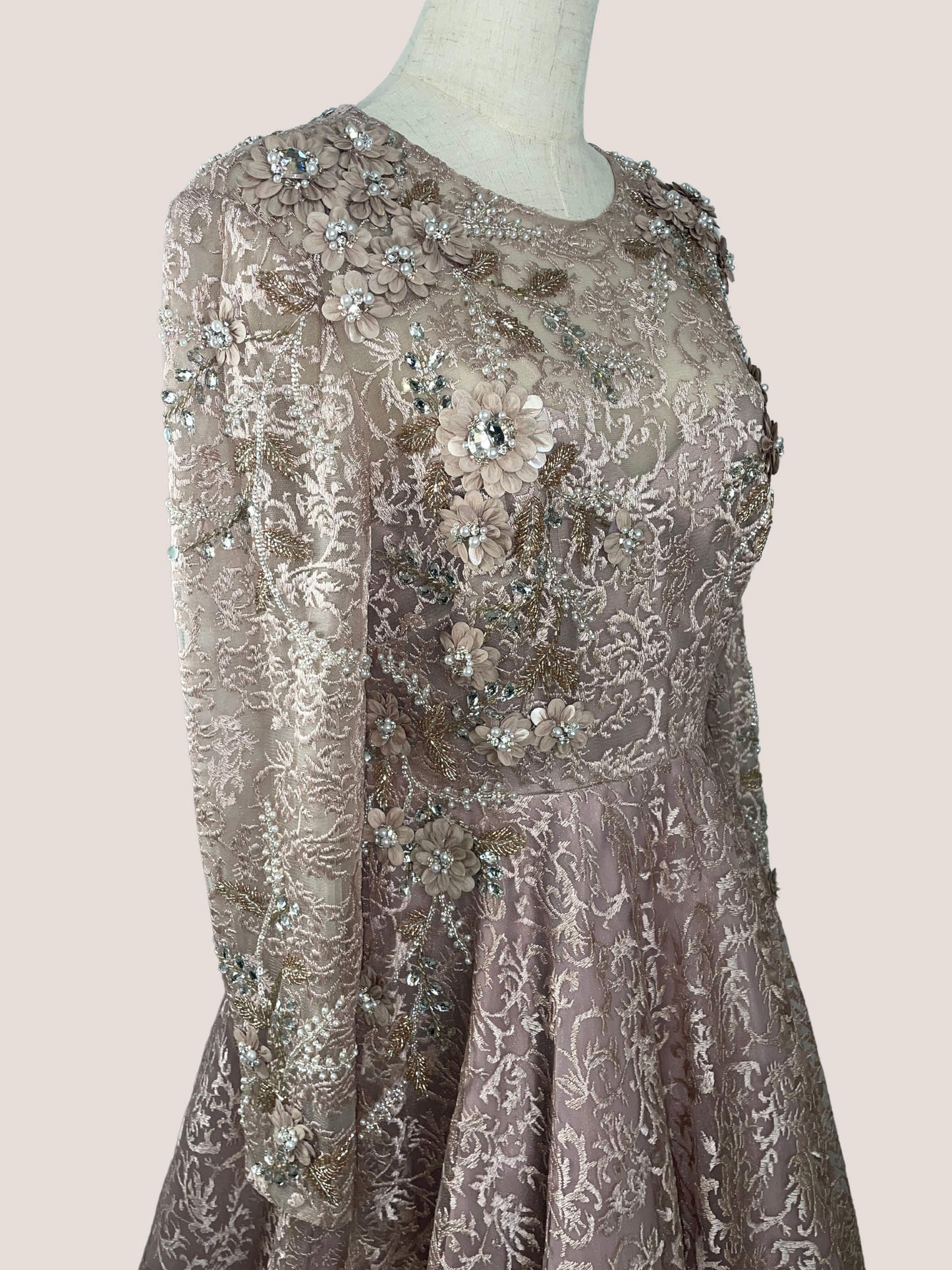 Embellished Illusion Long Sleeve A Line Gown