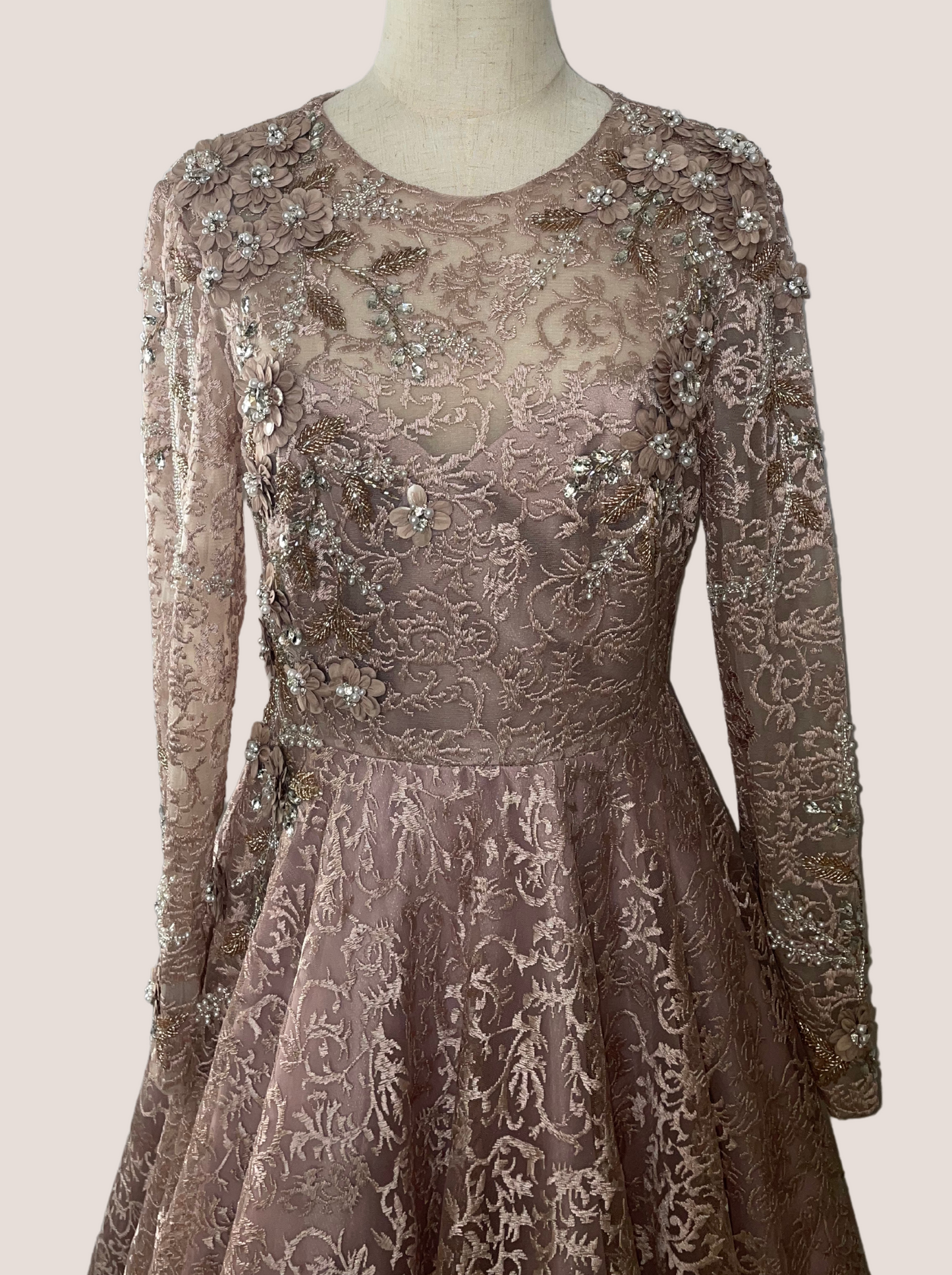 Embellished Illusion Long Sleeve A Line Gown