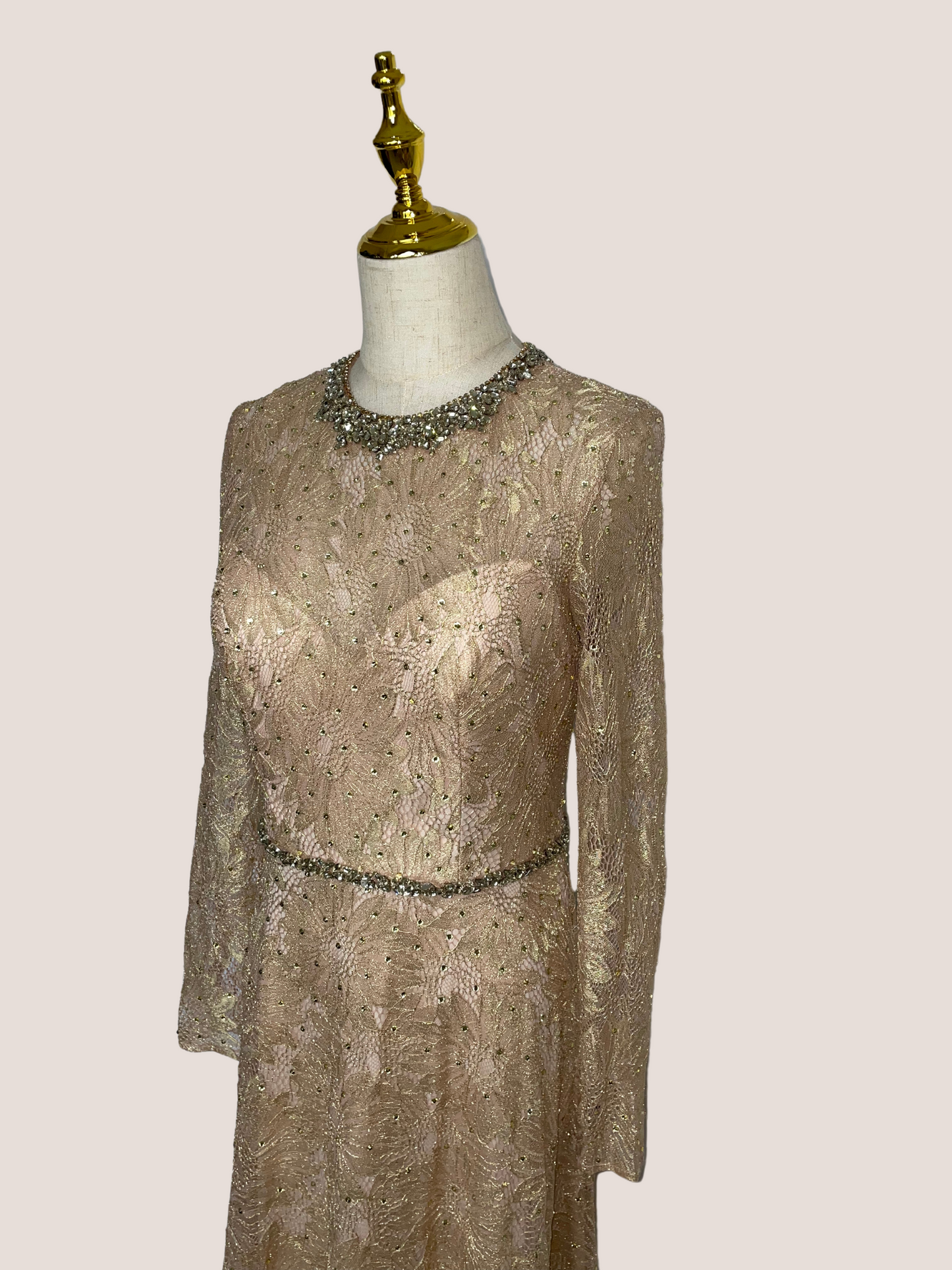 Long Sleeve Floral Lace Gown