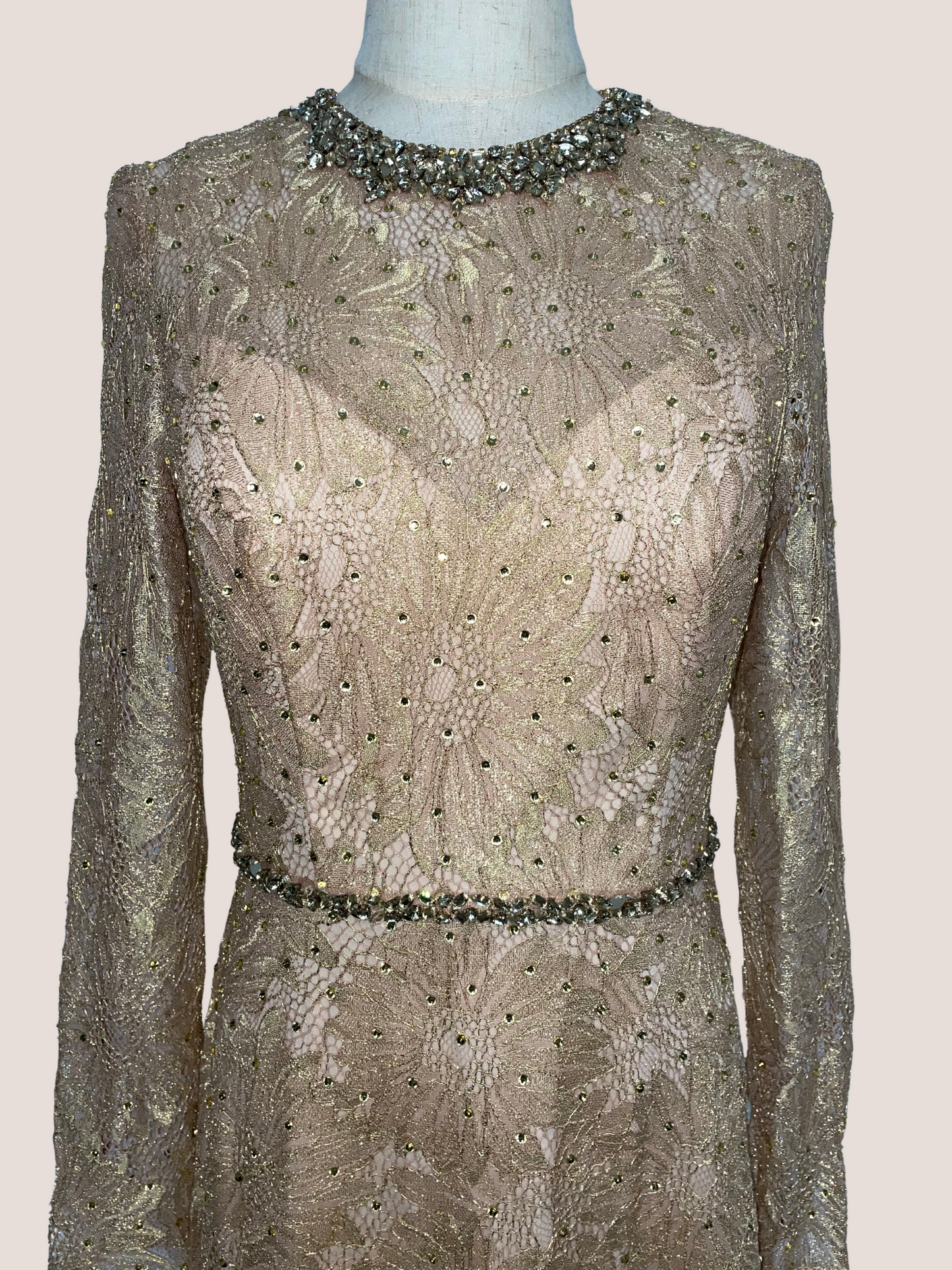 Long Sleeve Floral Lace Gown
