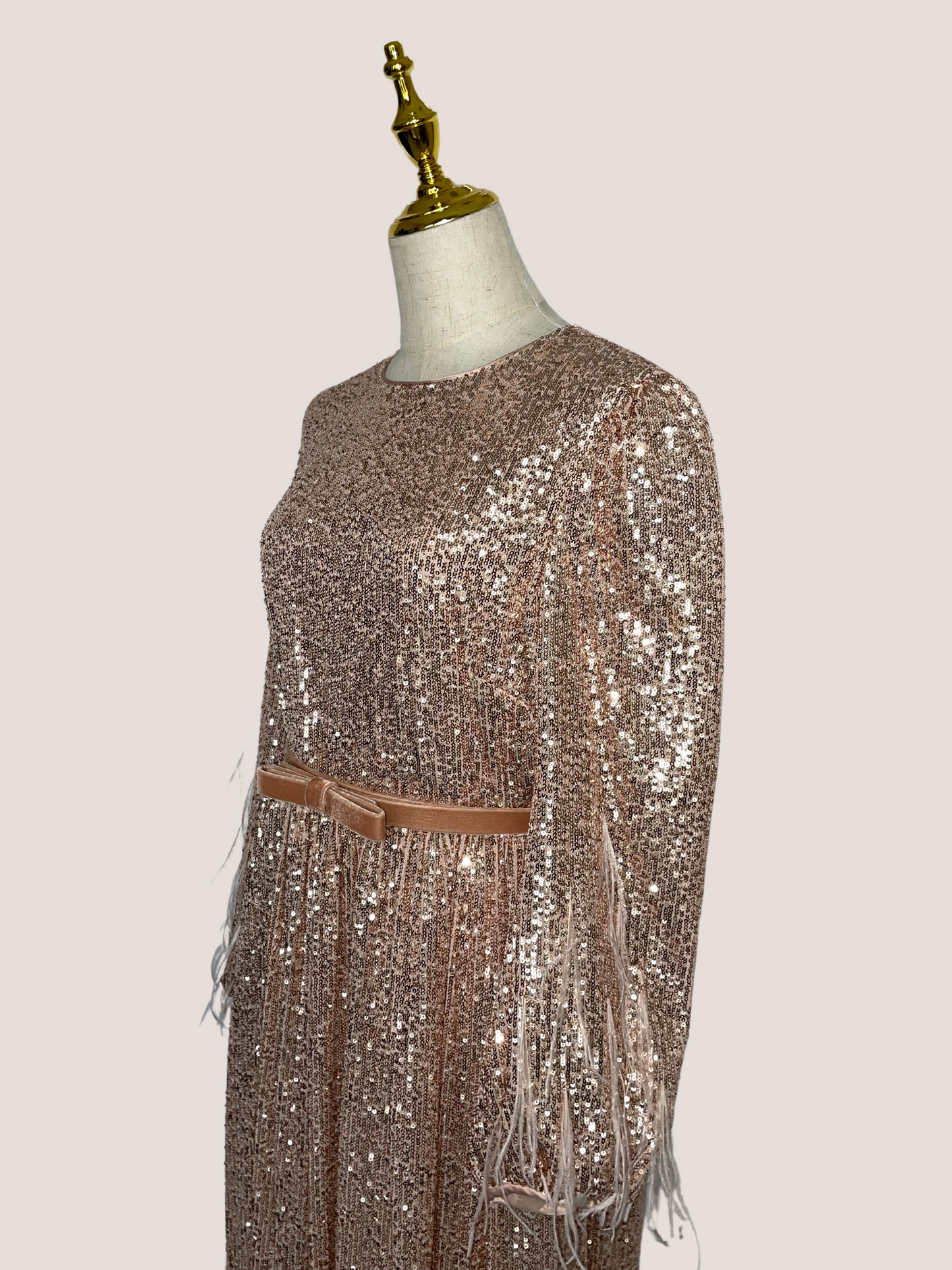 Sequin Long-Sleeve Feathered A-line Dress