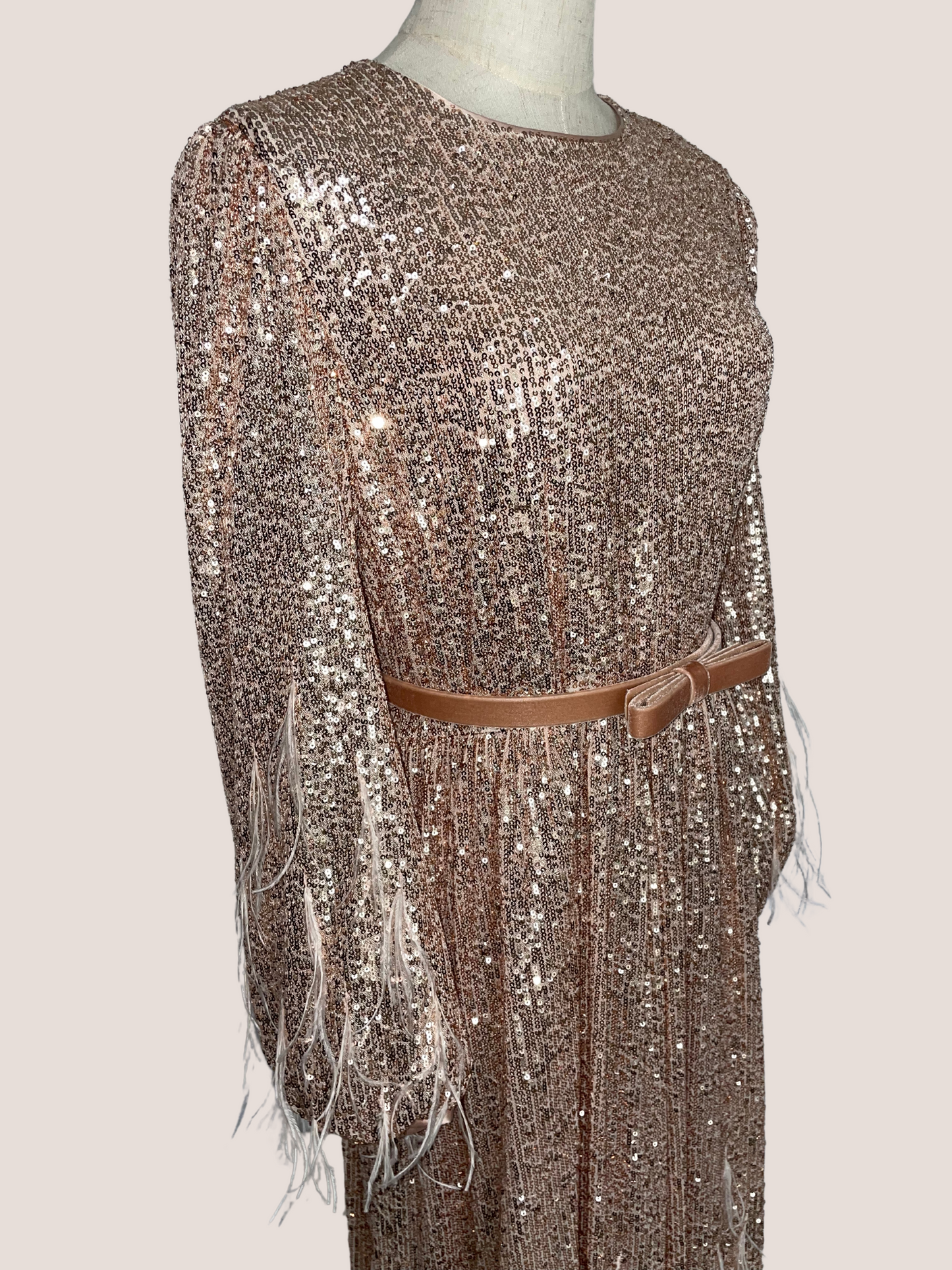 Sequin Long-Sleeve Feathered A-line Dress