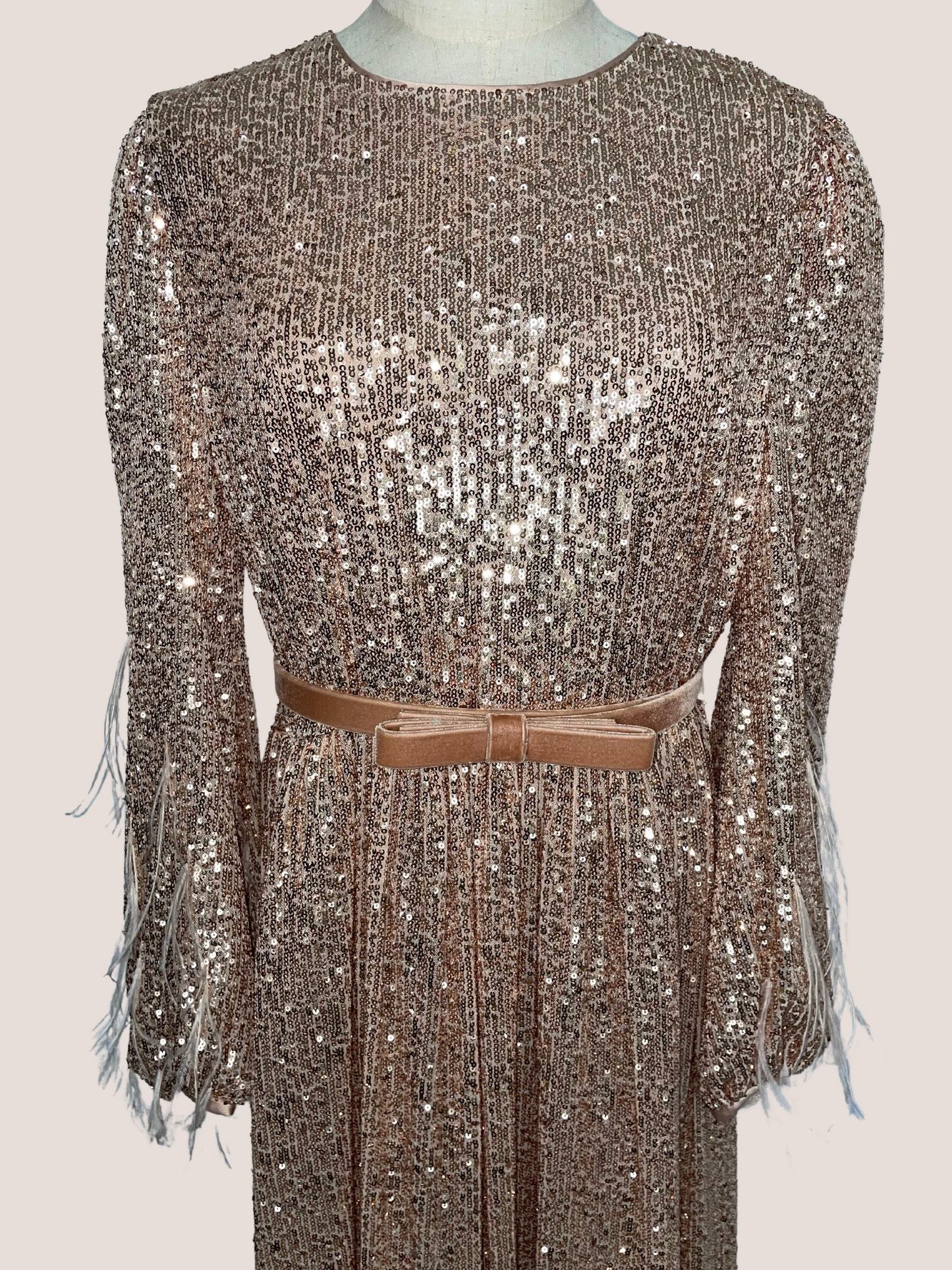 Sequin Long-Sleeve Feathered A-line Dress