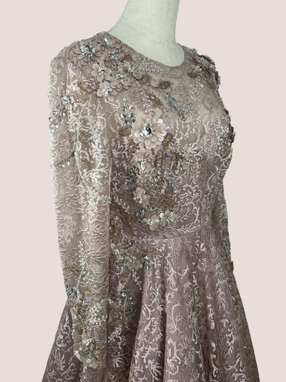 Embellished Illusion Long Sleeve A Line Gown