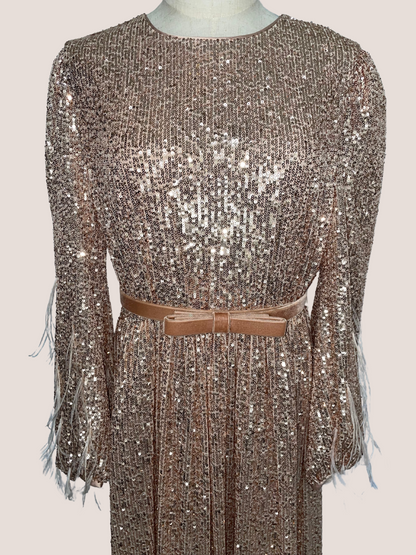 Sequin Long-Sleeve Feathered A-line Dress